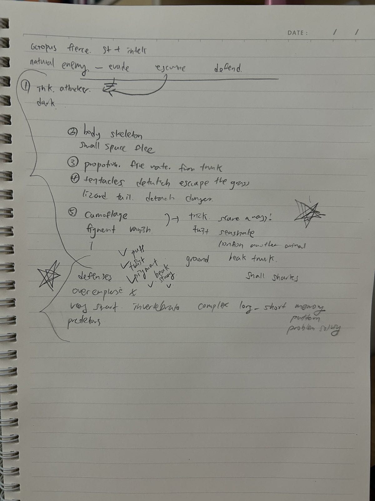 Octopus defense mechanism lecture notes, items numbered and grouped with brackets